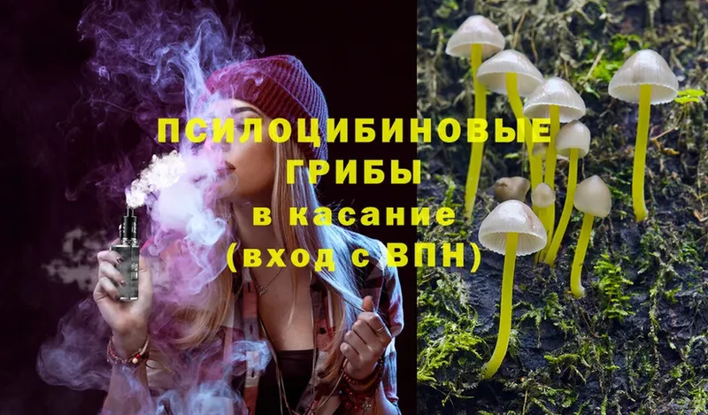 Галлюциногенные грибы MAGIC MUSHROOMS  купить наркоту  Ногинск 